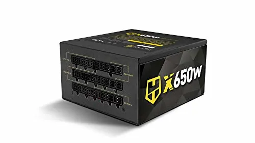 Fontaine NOX HUMMER X 650W Modulaire Or - alimentation vue principale