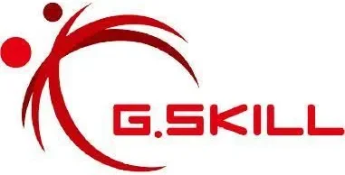 G.Skill Flare X5 8 Go DDR5 6000 MHz - vue 4