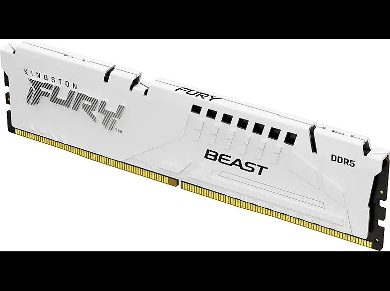 Kingston Fury Beast 16 Go DDR5 5600 MHz - vue principale