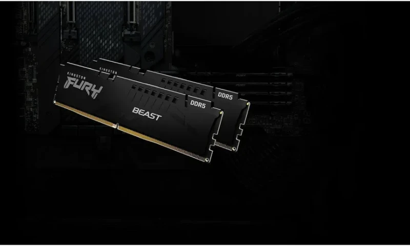 Kingston Fury Beast 16 Go DDR5 5600 MHz - vue 5
