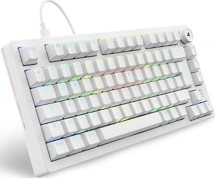 Sharkoon SKILLER SGK25 RGB - vue 1