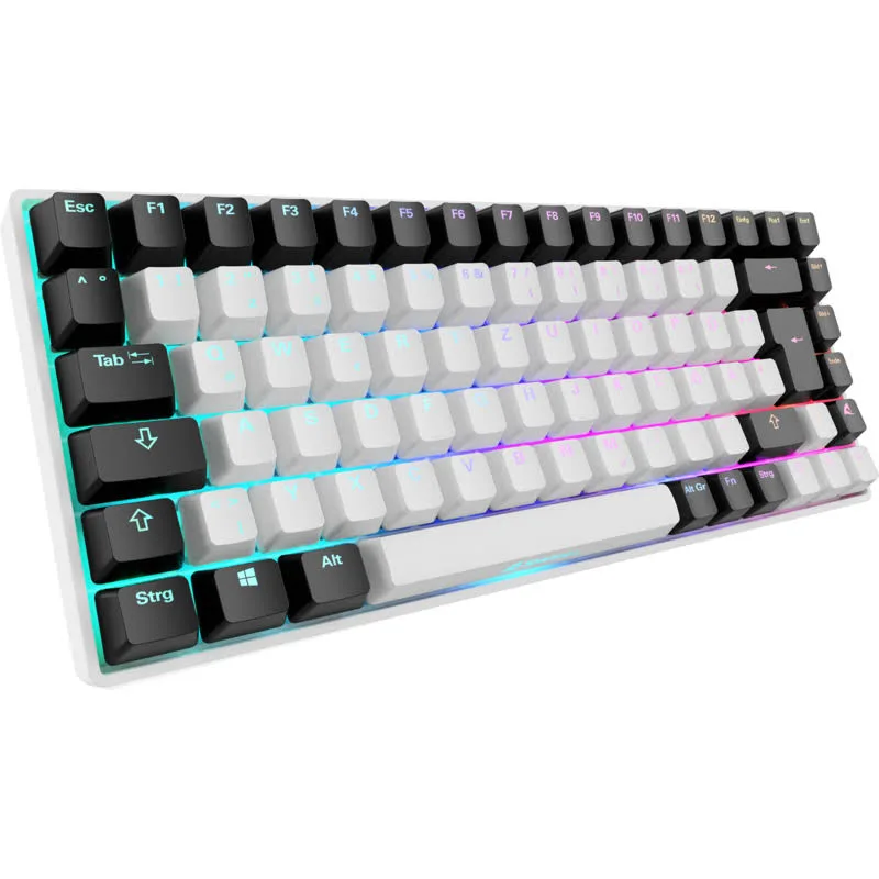 Sharkoon SKILLER SGK50 S3 RGB - vue 1
