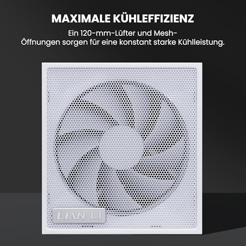Lian Li SX Platinum 1000W 80+ Platinum modulaire blanche - vue 4