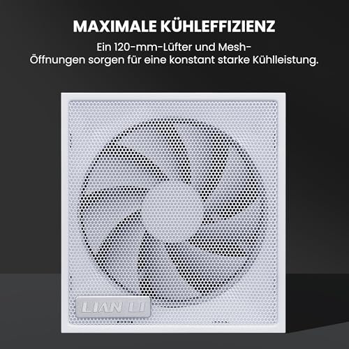 Lian Li SX0850P 850W 80+ Platinum modulaire blanche - vue 4