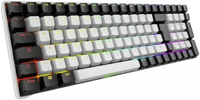 Sharkoon ROCCAT Skiller SGK50 S2 PBT RGB - vue 1