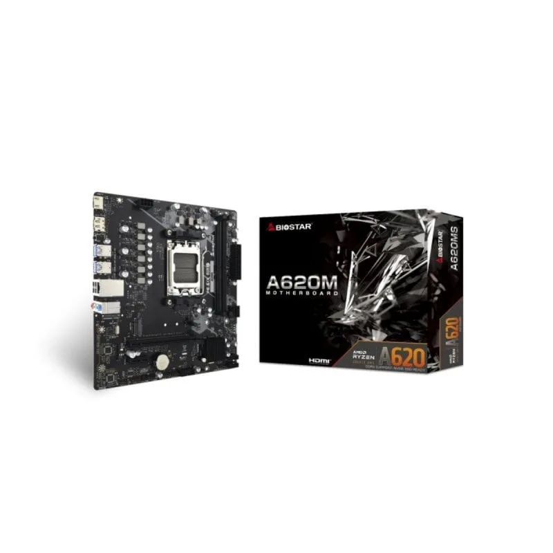 Biostar A620MS AMD Zócalo-SDRAM 128 Go micro ATX 
