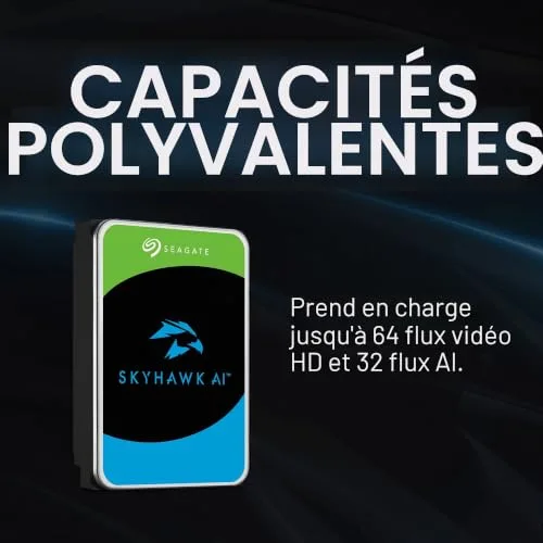 Seagate SkyHawk AI 12 To - vue 2