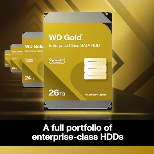 WD Gold WD242KRYZ 24 To - vue 3