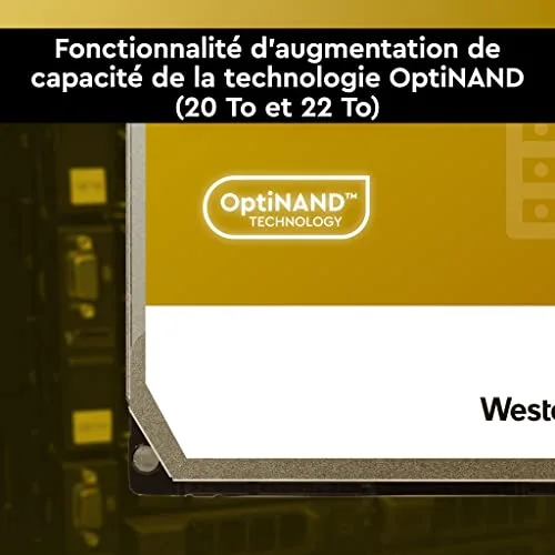 Western Digital Gold 1 TB - vue 6