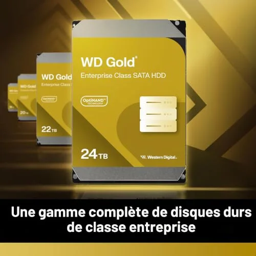 Western Digital Gold 10 To - vue 3