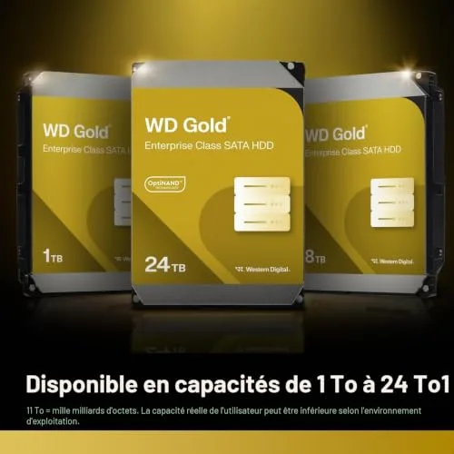 Western Digital Gold 22000 Go - vue 4