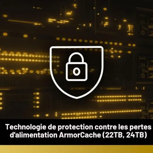 Western Digital Gold WD4004FRYZ 4 To - vue 6