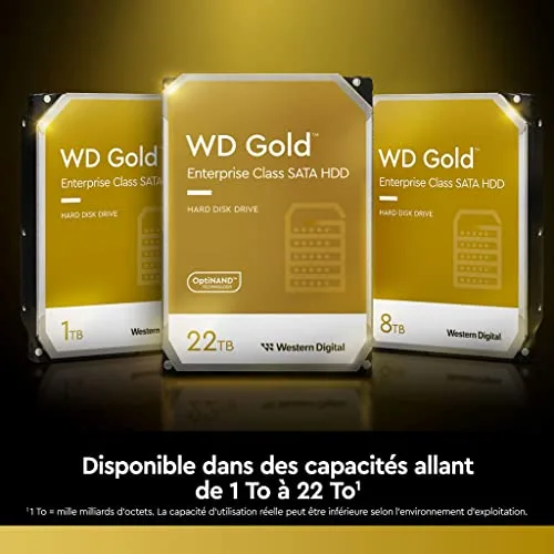 Western Digital WD Gold 18 To (WD181KRYZ) - vue 3