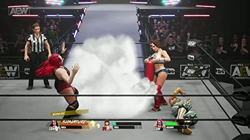 AEW: Fight Forever Standard PS4 - vue 4