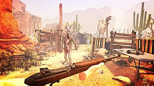 Arizona Sunshine Jeu PSVR - vue 3