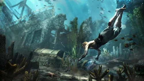 Assassins Creed IV Black Flag Jeu Wii U - vue 7