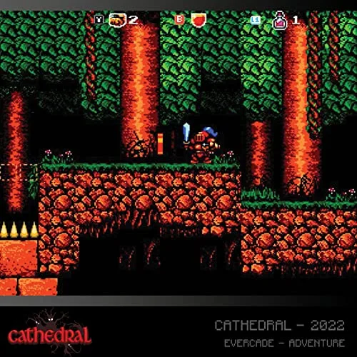 Alwa's Awakening & Cathedral Dual Cartridge Evercade - vue 6