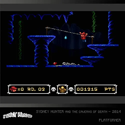 Sydney Hunter Collection Cartouche Arcade n°30 Evercade - vue 5
