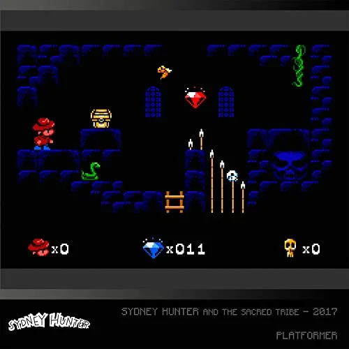 Sydney Hunter Collection Cartouche Arcade n°30 Evercade - vue 6