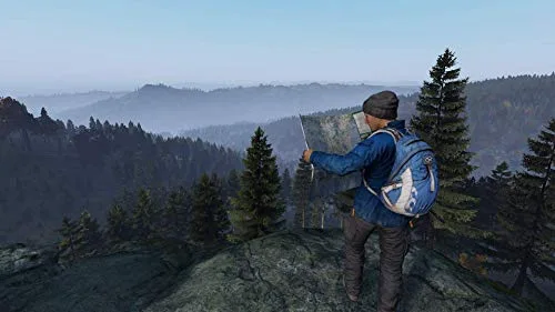 DayZ Standard PS4 - vue 2