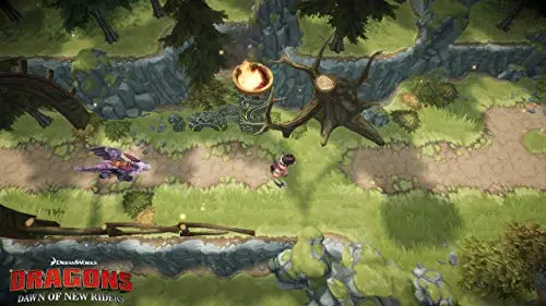 Dragons : L'aube des Nouveaux Cavaliers PS4 - vue 6