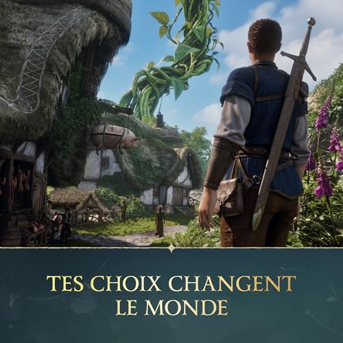 Fable PS5 - vue 6
