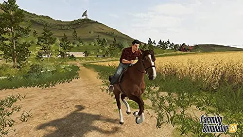 Farming Simulator 20 Switch - vue 3
