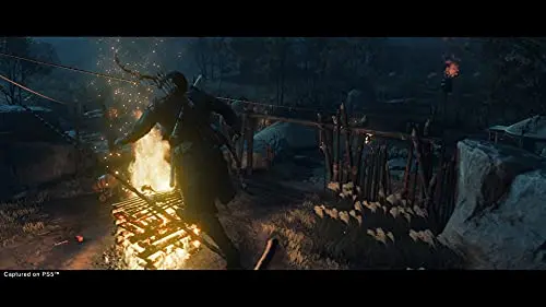 Ghost Of Tsushima Director’s Cut – PS5 - vue 9