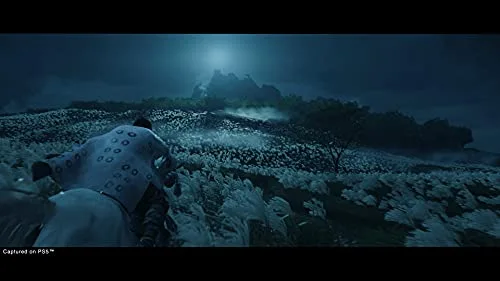 Ghost of Tsushima Director's Cut PS5 - vue 2