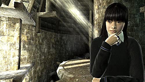 Harry Potter et l'Ordre du Phénix PC - vue 9