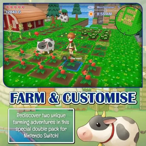 Harvest Moon: The Lost Valley & Skytree Village Switch - vue 2