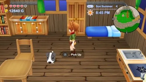 Harvest Moon: The Lost Valley & Skytree Village Switch - vue 6