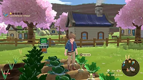 Harvest Moon: The Winds of Anthos Switch - vue 5
