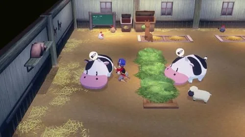Jeu de simulation de vie - Marvelous Europe - Story of Seasons: Grand Bazaar - Nintendo Switch - Édition standard - vue 2