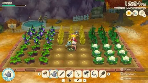Jeu de simulation de vie - Marvelous Europe - Story of Seasons: Grand Bazaar - Nintendo Switch - Édition standard - vue 7