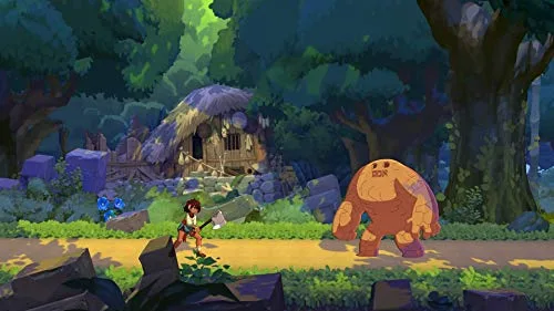 Indivisible Switch - vue 4