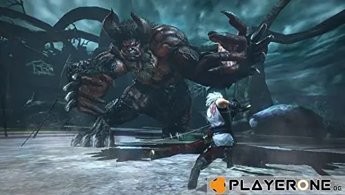 Toukiden: The Age of Demons PS Vita - vue 3