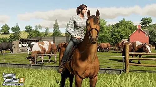 Farming Simulator 19 Ambassador Edition PS4 - vue 4
