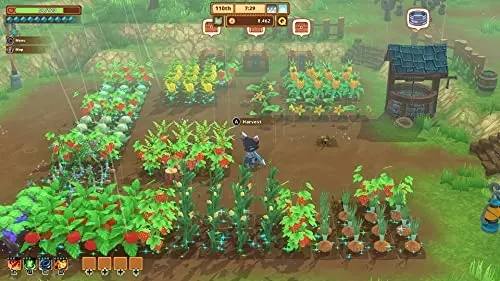 Kitaria Fables Jeu Switch - vue 3