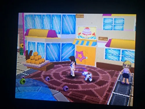 LEGO Friends DS - vue 5