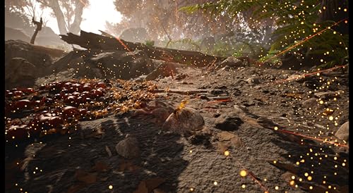 Les Fourmis Xbox - vue 5