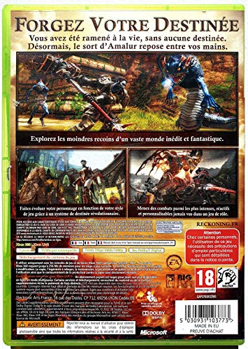 Les Royaumes d'Amalur : Reckoning Xbox 360 - vue 2