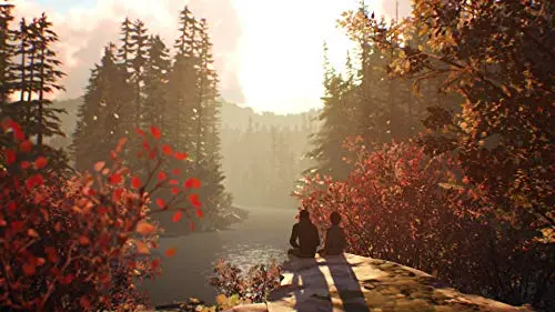 Life is Strange 2 Standard Xbox One - vue 4