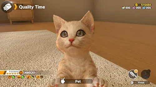 Little Friends: Dogs & Cats Switch - vue 2