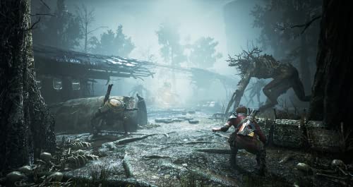 Miasma Chronicles Xbox - vue 3