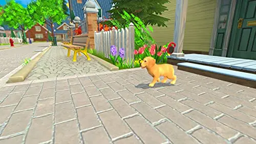 My Universe : My Baby - Chiens & Chats Switch - vue 2