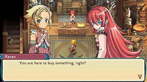 Rune Factory 3 Special Switch - vue 2