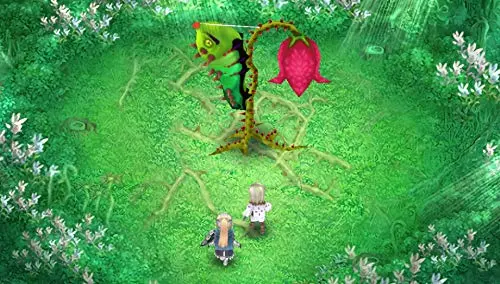 Rune Factory 4 Special Switch - vue 2