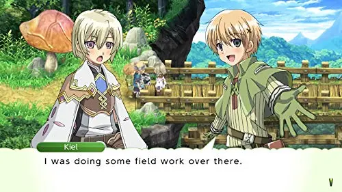 Rune Factory 4 Special Switch - vue 3