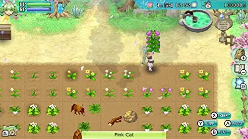 Rune Factory 4 Special Switch - vue 4